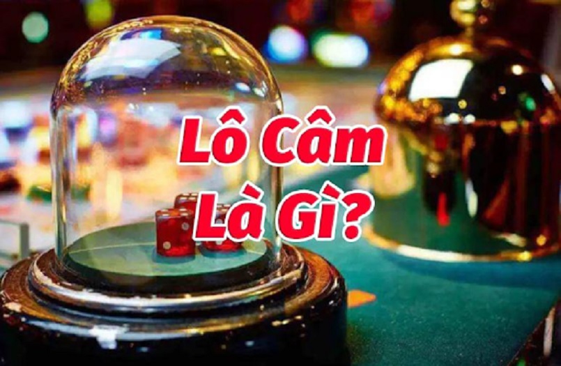 Học hỏi để hiểu hơn về cách chơi lô câm chính xác Học hỏi để hiểu hơn về cách chơi lô câm chính xác