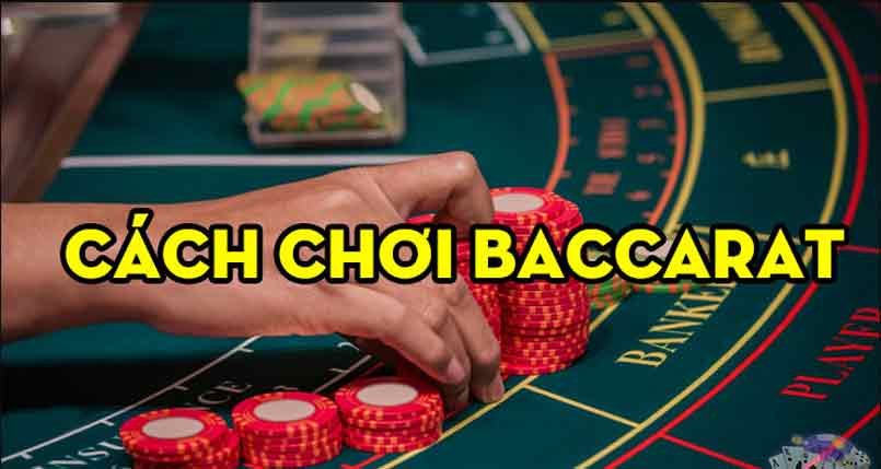 Nhà cái D9bet chia sẻ cách chơi baccarat rất đơn giản Nhà cái D9bet chia sẻ cách chơi baccarat rất đơn giản