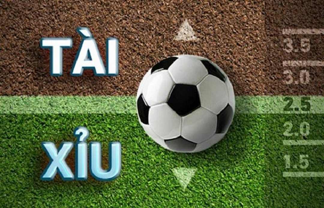 Những tips hay giúp bạn tránh mắc sai lầm khi chơi tài xỉu. Những tips hay giúp bạn tránh mắc sai lầm khi chơi tài xỉu.